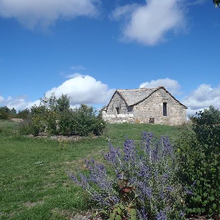 فيلا Chapelle Du Domaine De Bombes Saint-Rome-de-Dolan المظهر الخارجي الصورة